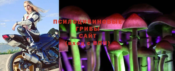 прущие крисы Каменка
