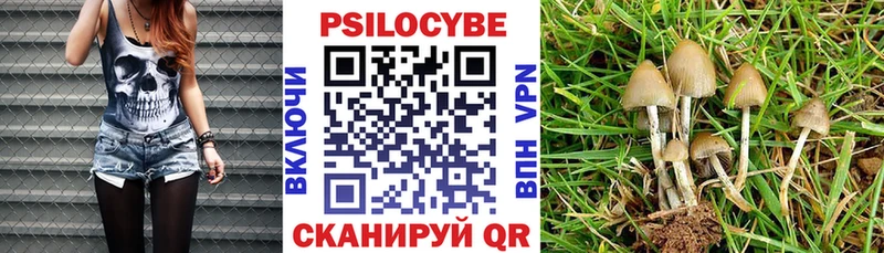 Купить где  Татарск  Галлюциногенные грибы мухоморы 